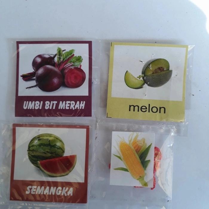 bibit tanaman buah, semangak, melon,umbi bit merah,jagung manis