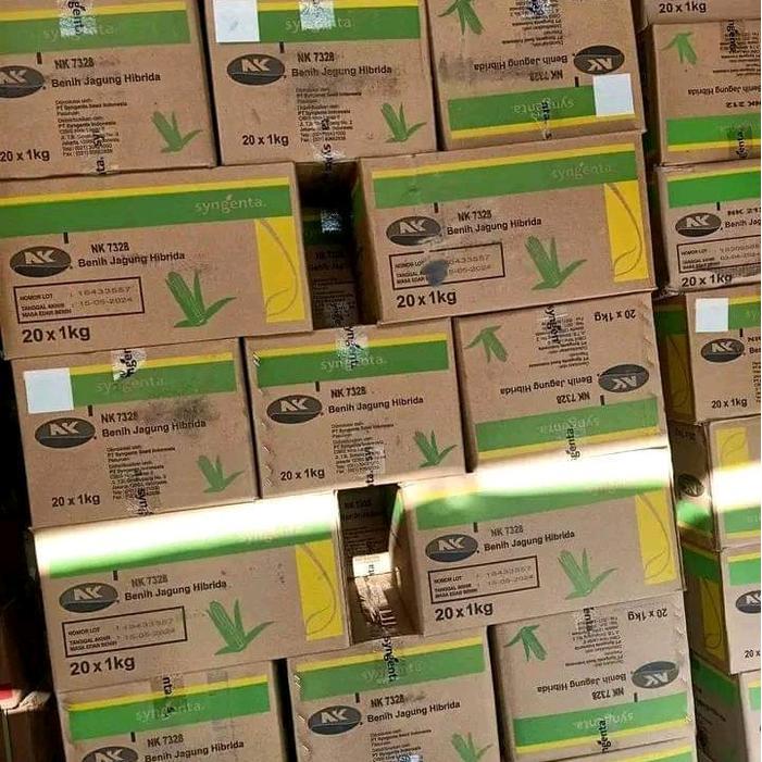 Bibit jagung Nk sumo 7328