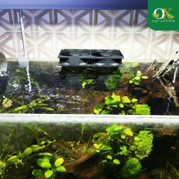 READY kipas aquarium aquascape double fullset lengkap