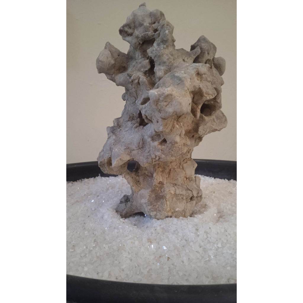 BATU KARANG GUNUNG UNTUK BONSAI DAN AQUASCAPE