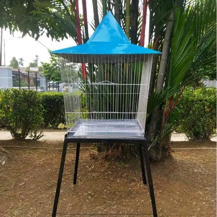 SIAPKIRIM Kandang Beo Bermacam Burung Hias Bagus dengan Atap Biru dan Desain Menarik READY STOCK