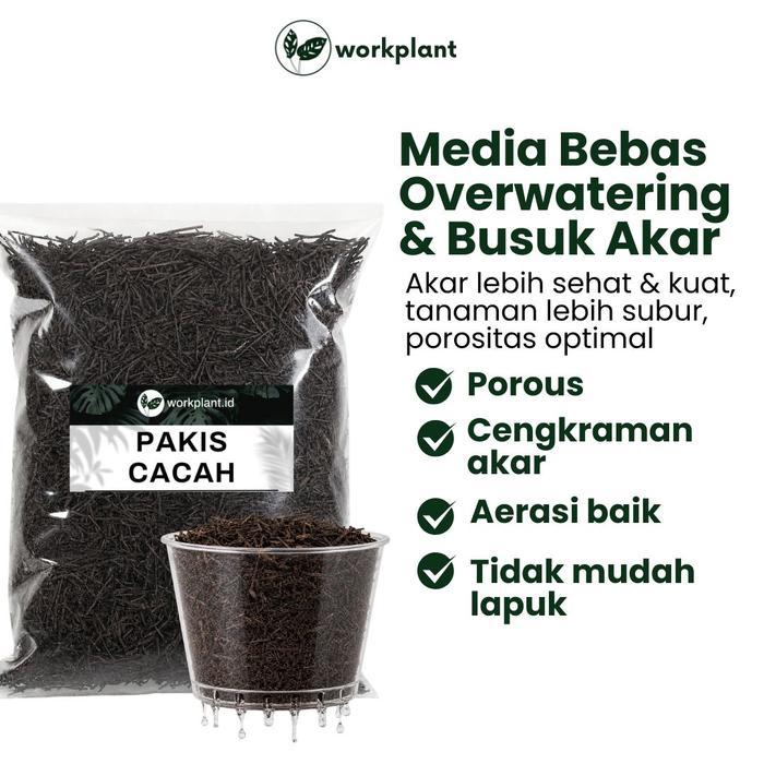 Workplant - Pakis Cacah Oven Media Tanam Porous Minim Patogen Baik Untuk Pertumbuhan Akar Semua