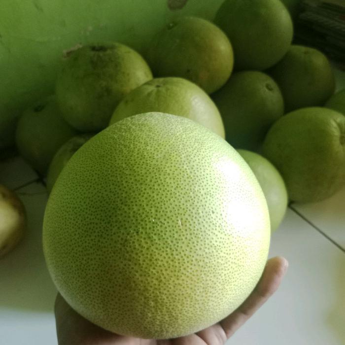 TERLARIS 800 - 900g jerok pamelo madu manis
