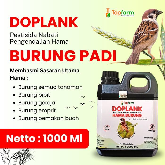 DOPLANK - Pestisida Nabati Pengendali Burung Padi Sawah / Obat Burung Padi Sawah / Obat Hama Burung