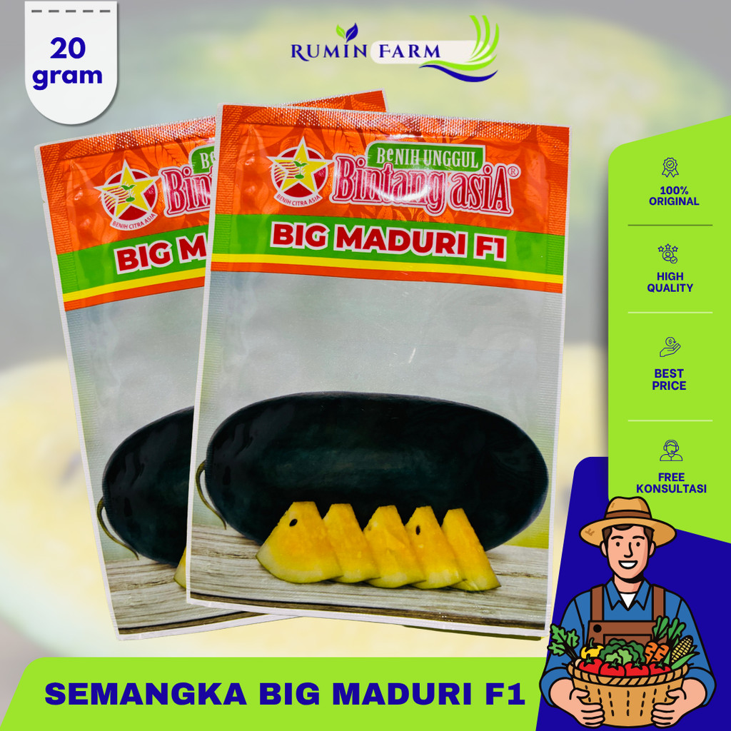 Benih Semangka Big Maduri  Cap Bintang Asia