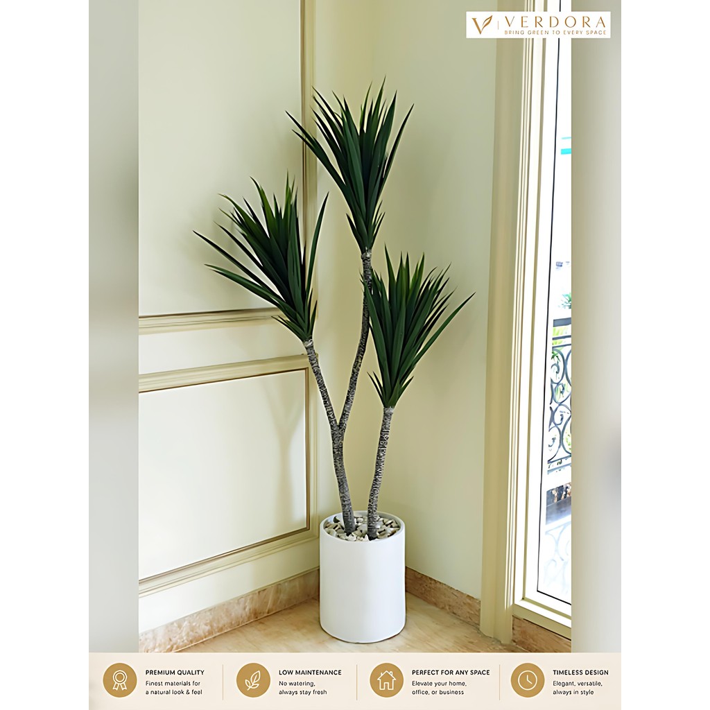 Verdora - Pohon Artificial - Yucca Cabang 3 - Tinggi: 1.6 m - Pot Tabung Sedang Warna Putih Polos