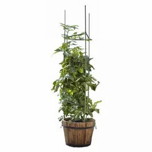 PENYANGGA TANAMAN / RAMBATAN TANAMAN ANGGUR