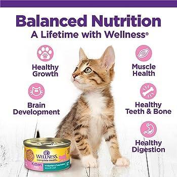 Wellness Pate Complete Health Whitefish & Tuna Entree Kitten