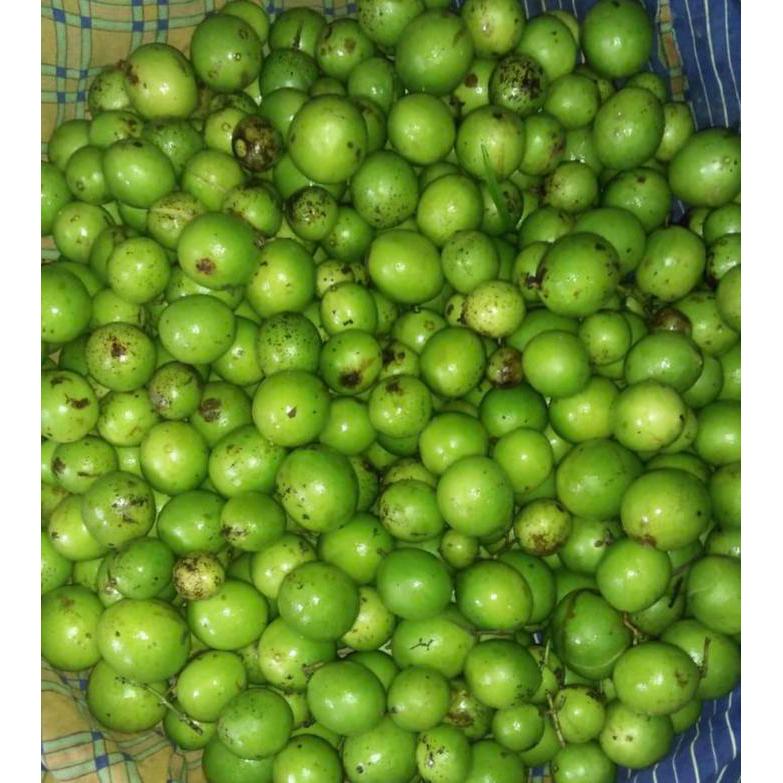 Buah Gandaria / Buah Jatake / Buah Ramania Terlaris