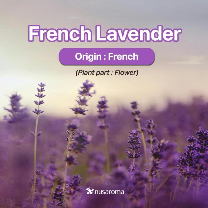 Nusaroma French Lavender Essential Oil - Minyak Aromaterapi Lavender Terlaris