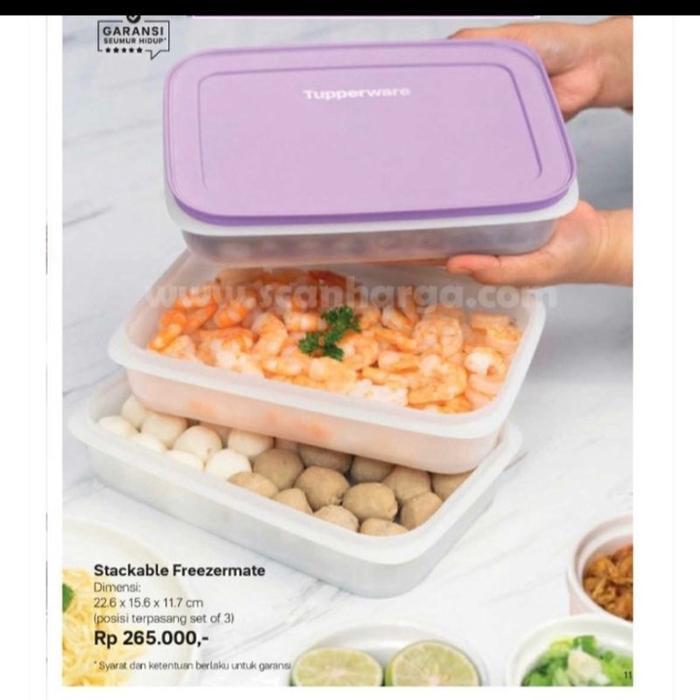 Frozy Cozy Lentur Uk 2,5L Tupperware / Wadah Freezer Murah