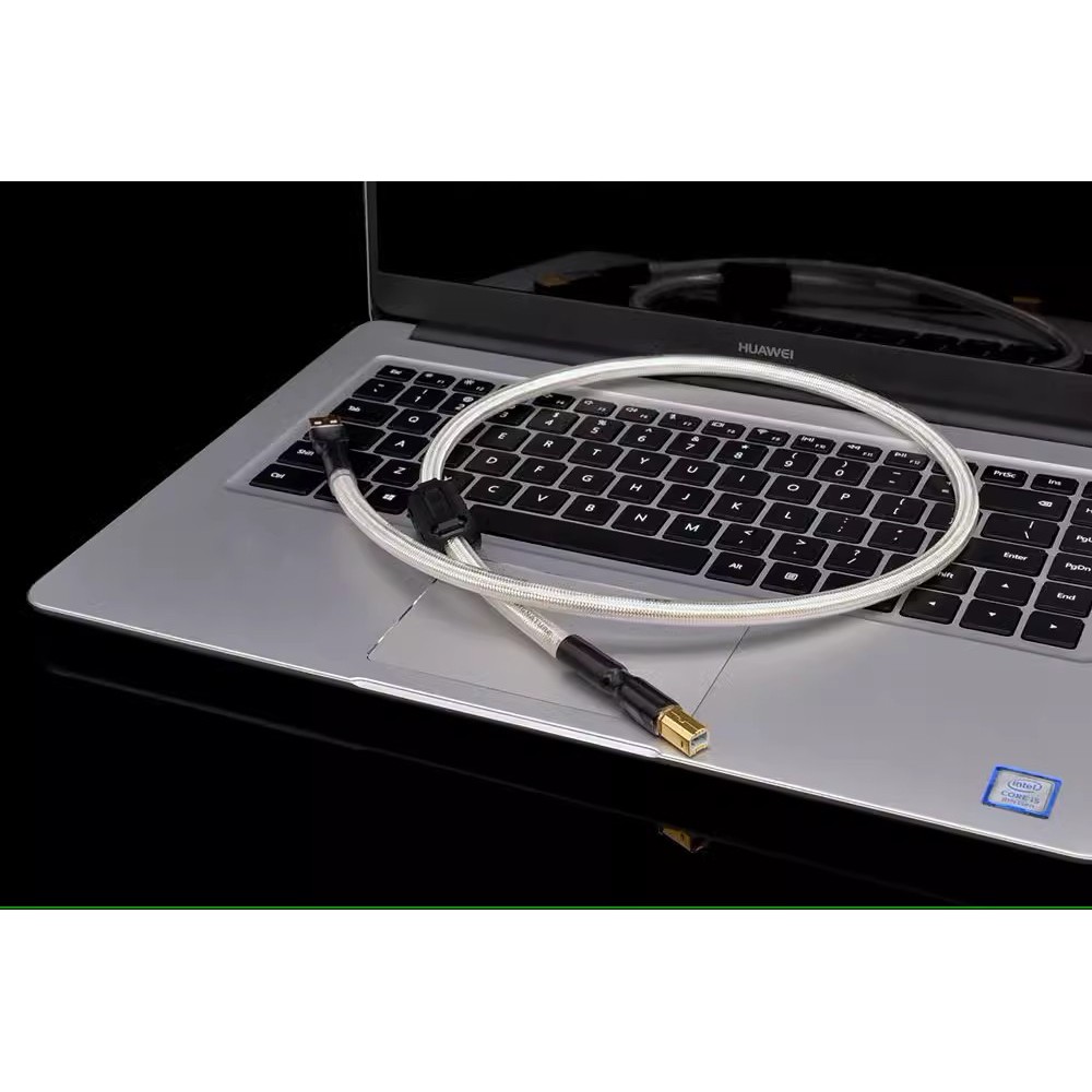 HIFI USB OTG Cable USB Type A to B USB Cable silver plated Type C to Type B Audio Cable
