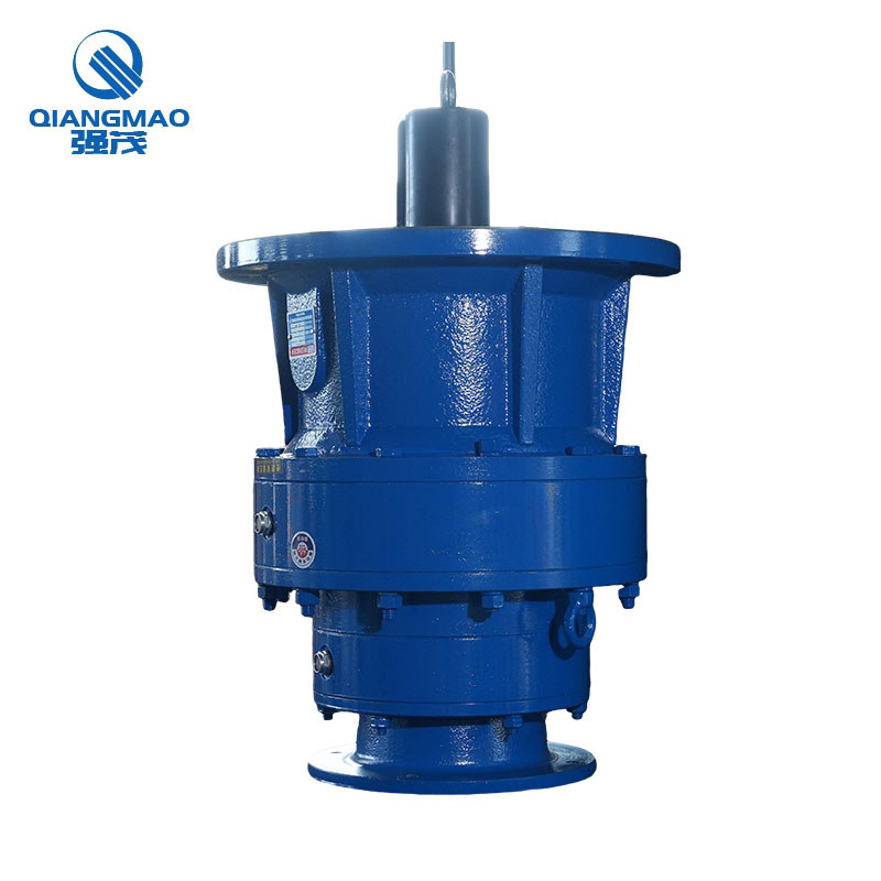 Single-Stage Vertical Cycloid Speed Reducer Planetary Gearbox for Series Conveyor Horizontal