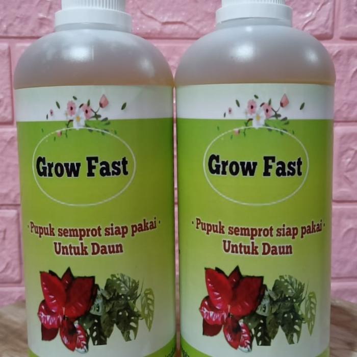 pupuk daun tanaman hias, aglonema, semua jenis tanaman, grow fast