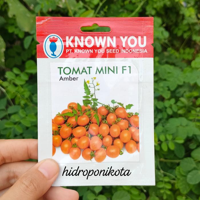 Zico Stored Benih Tomat Cherry Amber - Benih Tomat Mini