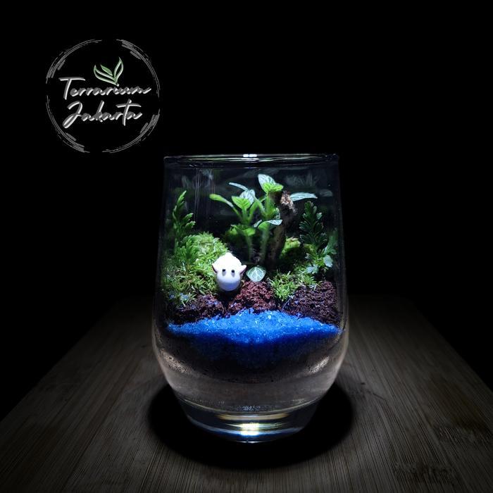 Closed Terrarium - Mini Glass Forest Terrarium Tertutup Terrarium Gift - KIT