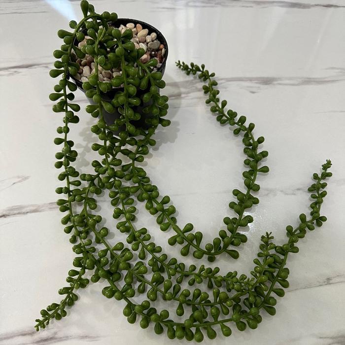 "New" TANAMAN SUKULEN JUNTAI PALSU POT 10CM Latex Plastik