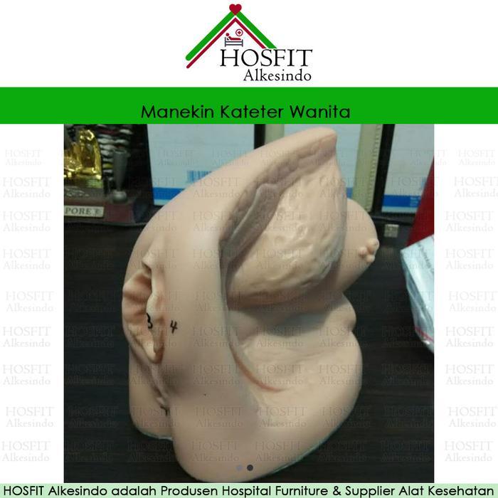 Manekin Kateter Wanita - Alat Peraga Kateter Wanita - Manekin Lokal