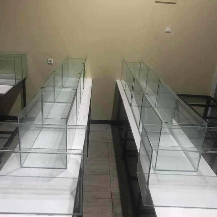 aquarium 60x30x35