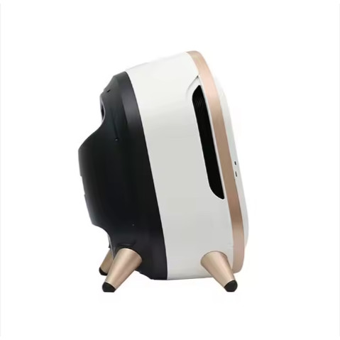 Beauty Salon 3D Facial Photography Skin Testing Management Analysis Skin Care Beauty Device