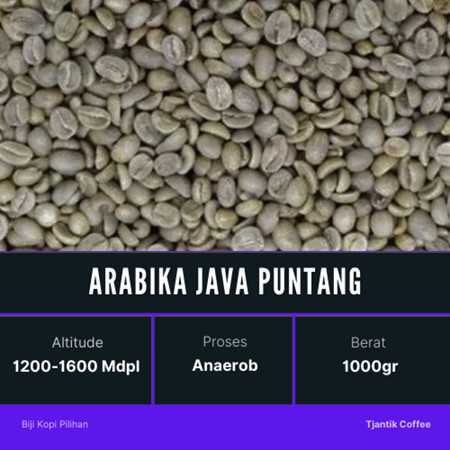 green Bean biji kopi anaerob Java Puntang  - 1 kg