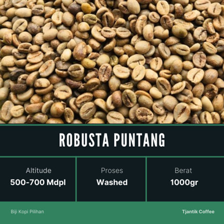 green Bean biji kopi Robusta Puntang  - 1 kg