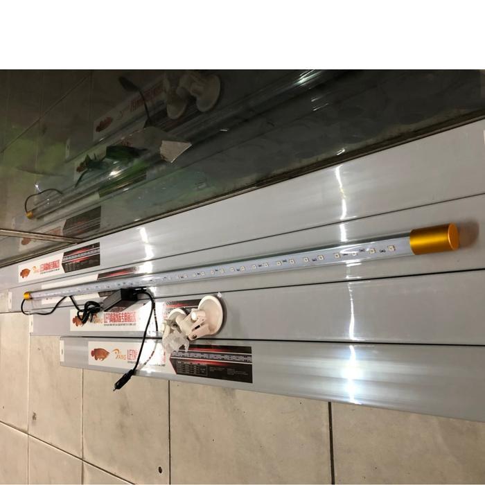 Lampu Tanning Arwana YANG T8 - 92 (92cm) 40 watt WARNA MERAH