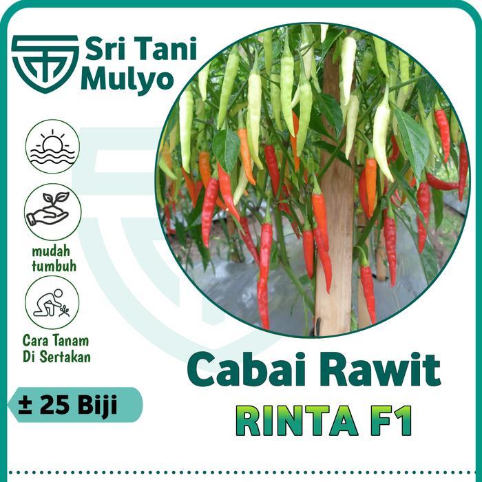 Sale Terlaris 25 Biji - Benih Cabai Rawit Hibrida Rinta F1 - Bintang Asia Bibit Sayuran Benih