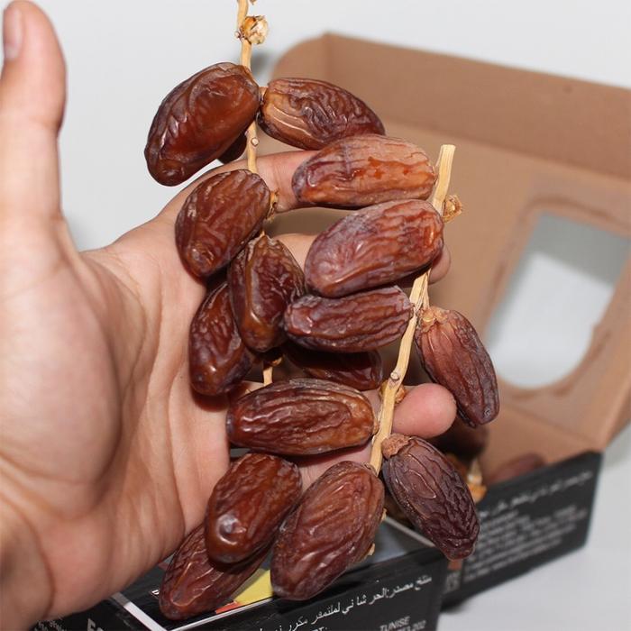 Grosir Kurma Tangkai Tunisia Palmfrutt Kemasan 500Gr Palmfruit