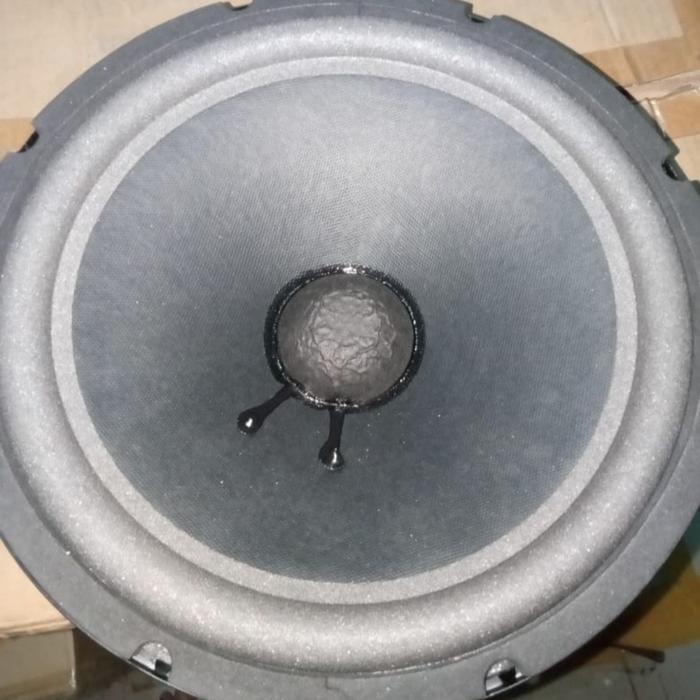 komponen speaker 10 inch kualitas bagus