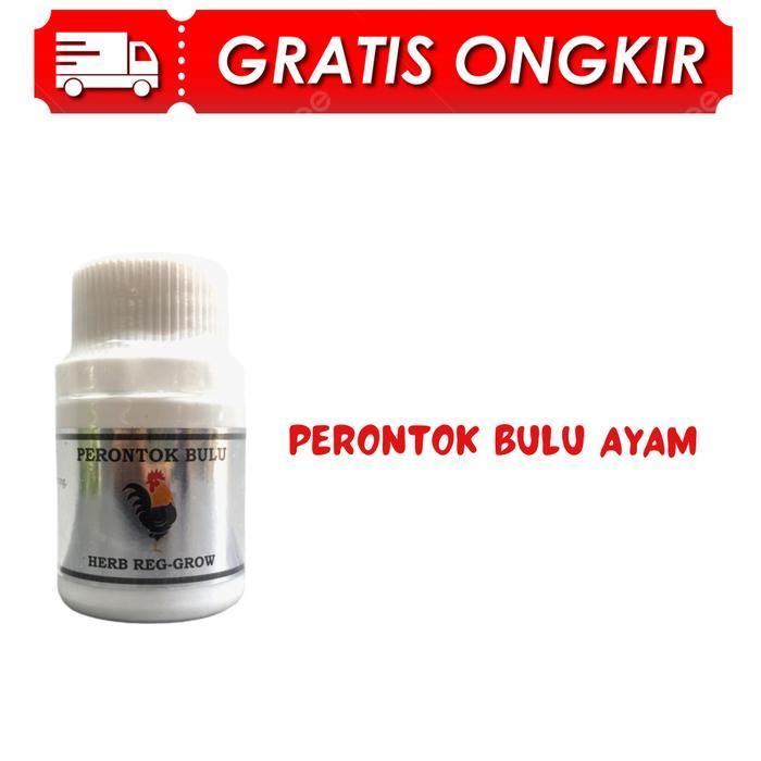 Perontok Bulu Ayam Burung Saat Mabung Ngurak untuk ayam