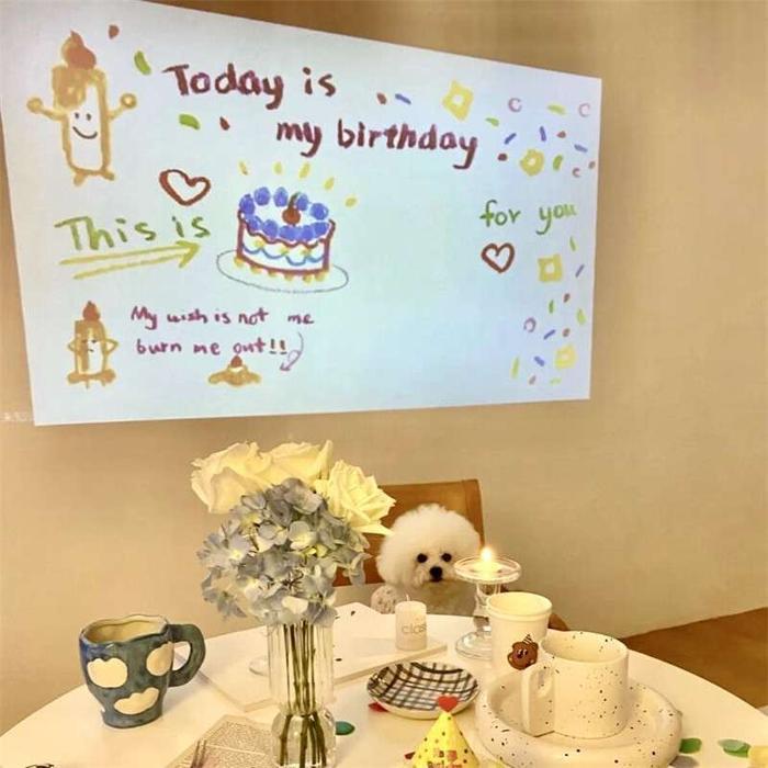 Projector Lamp Happy Birthday Party Birthday Gift Cute Idea