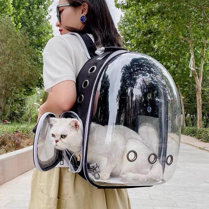 Tas Astronot Kucing AnjingTransparan Pet Cargo Tas Anjing Kucing Murah