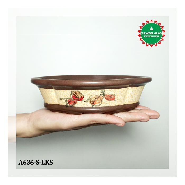 Top Pot Keramik Bonsai Kecil Mame