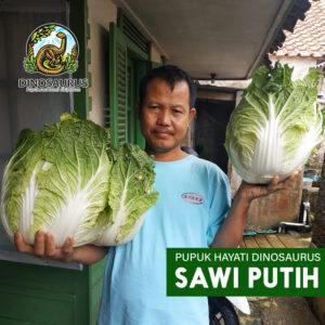 Pupuk DINOSAURUS - Pupuk Organik Cair Pembenah Tanah 3 Liter