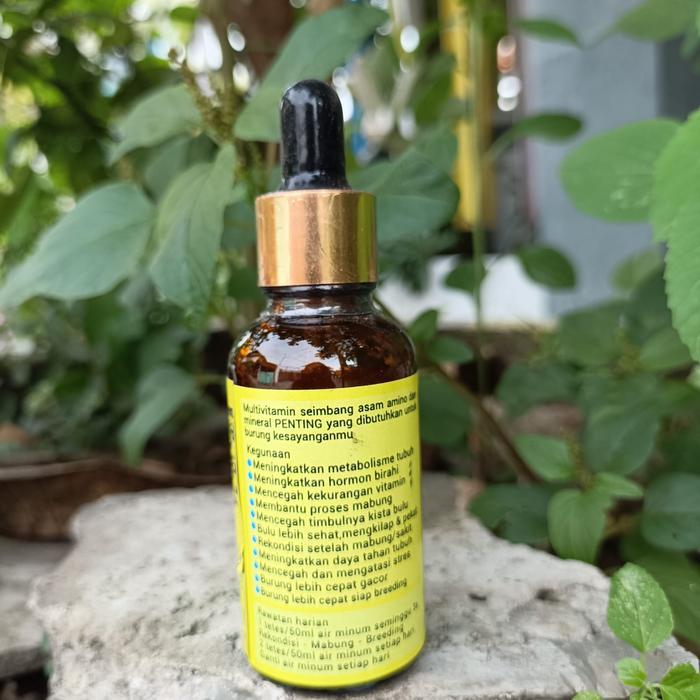 Vitamin Kenari Hs Extravit Burung Extra Sehat Dan Extra Fit Kualitas Nyata Untuk Burung Kenari