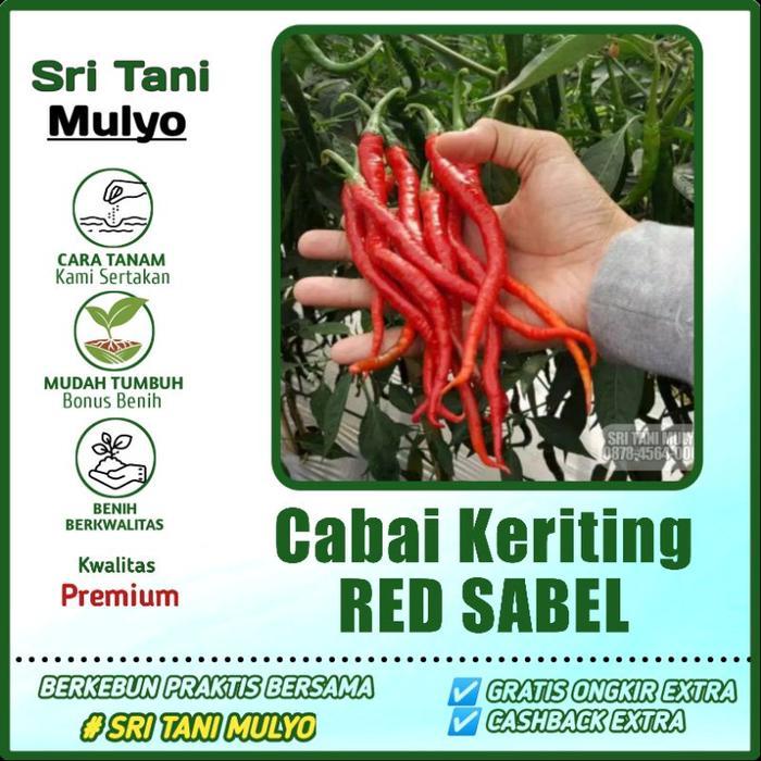 Sale Terlaris 20 Biji - Benih Cabai Keriting Red Sabel F1 - Bibit Tanaman Sayur Sayuran Cabe - Tm 99