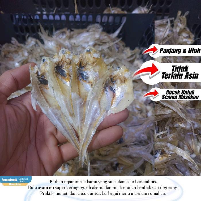 "New" Ikan Asin Bulu Ayam Super Gurih Food Kering Premium Fresh Lauk Khas Surabaya