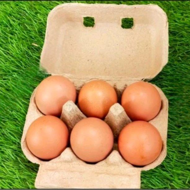 Paper Egg / Tray Egg Kertas 6 Lubang Sudah Adap Pengunci 25 Pcs