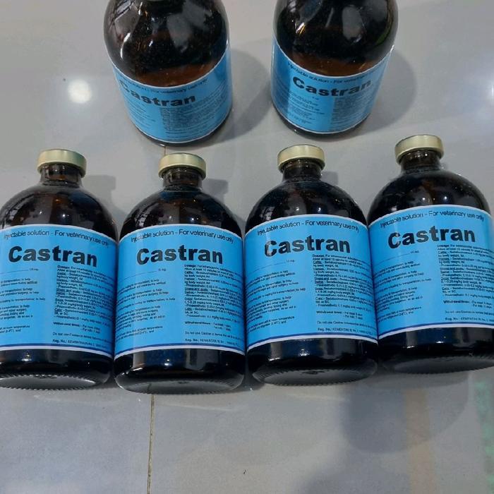 CASTRAN 100 ML - HEWAN TERNAK - INTERCHEMIE