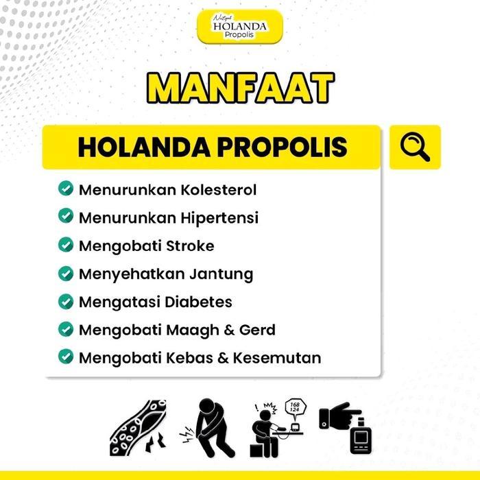 TERLARIS......!!! HOLANDA PROPOLIS ( 6 ML ) 100% ORIGINAL