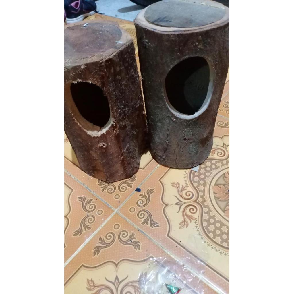 Glodok Ternak Batang Pohon Sarang Burung Murai Kacer Cucak Ijo Dll