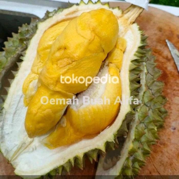 DURIAN BAWOR FRESH UTUH PER BUAH UKURAN XL