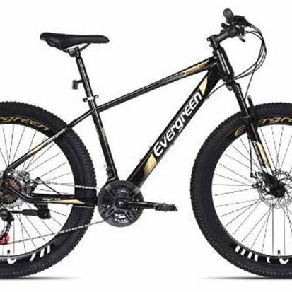 Terbaru Sepeda Gunung Mtb 27.5 Evergreen Discbrake 575