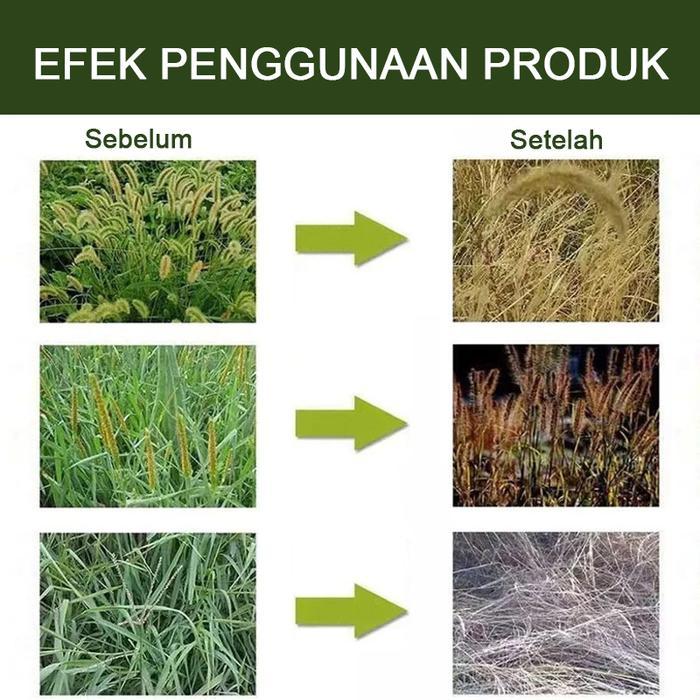 Racun Rumput Paling Ampuh Racun Pohon Besar Ampuh Oba Pembunuh Pohon Besar obat Pembasmi Rumput Liar