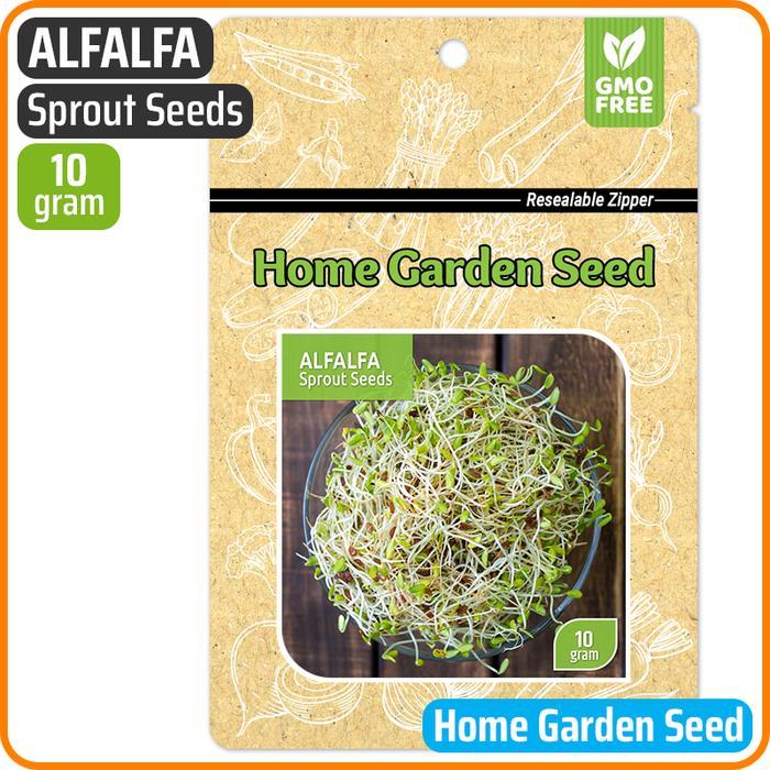 Benih Alfalfa Sprout - Home Garden Seed