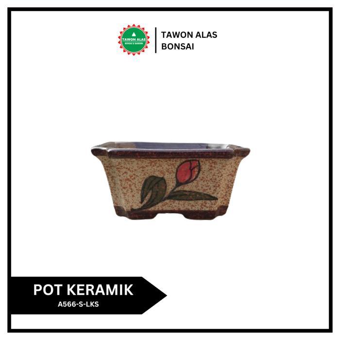 Najwa Gadget Pot Bonsai Keramik Segi Empat Bagus Kecil Small Mini Mame - Lukis