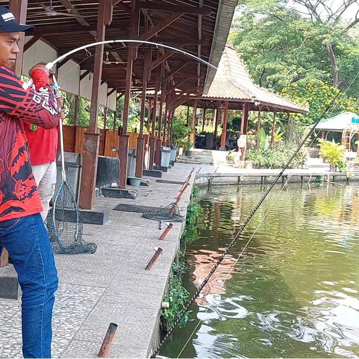 Joran Pancing Hemus Revanger 602M Fuji New Concept