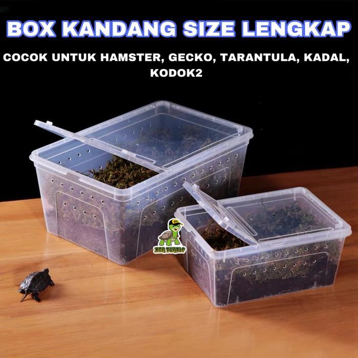 KANDANG BOX REPTIL HAMSTER KURA LEOPARD GECKO TARANTULA PACMAN ISOPOD KODOK DART FROG