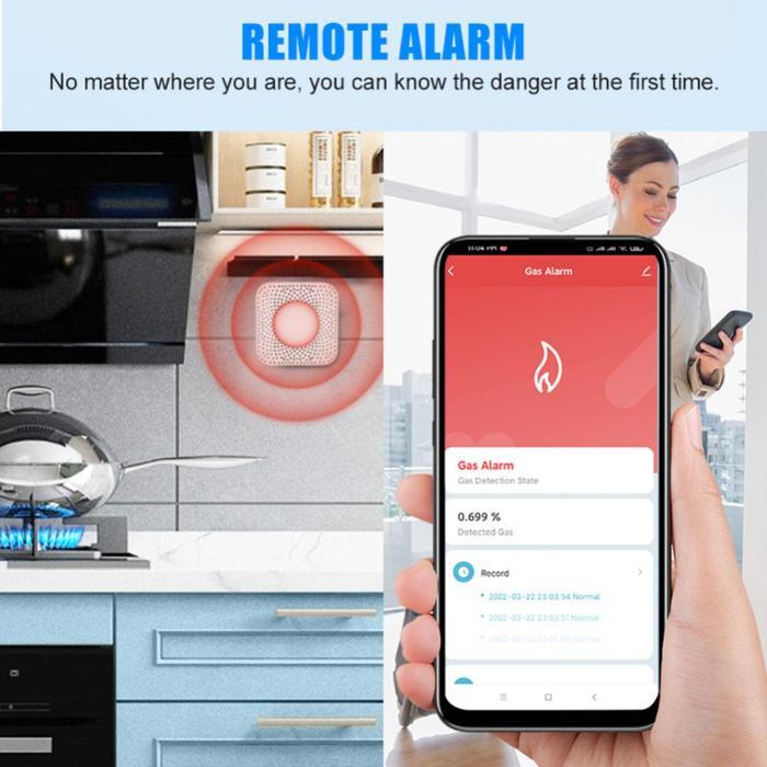 Smart Gas Alarm Detector Tuya Lpg Leakage Sensor Smart App Push